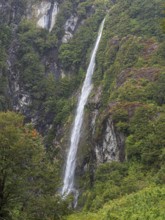 Waterfall Salto El Condor, Queulat National Park south of Puyuhuapi, Patagonia, Chile, South