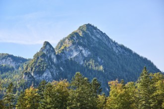 Mountains in autumn colours, Berchtesgaden Alps, Berchtesgaden National Park, Berchtesgadener Land,