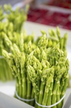 Green asparagus, bundled at the Freiburg weekly market market, Freiburg im Breisgau,