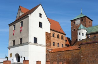 Medieval castle with red-tiled roofs and towers under a clear blue sky, museum, residential castle