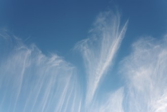 Veil clouds move across a clear blue sky and create a delicate, windy scene, Lower Saxony, Germany,