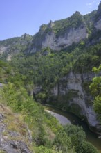 View of the Tarn Gorge, Gorges du Tarn Causses, Département Lozère, France, Europe