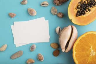 White paper business card with ripe cut papaya, orange, seashells on blue pastel pastel background.