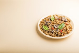 Spelt (dinkel wheat) porridge with vegetables and mushrooms on ceramic plate on orange background.