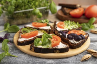 Grain rye bread sandwiches with cream cheese, tomatoes and basil microgreen on gray wooden