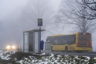 Dense fog, with visibility partly below 100 metres, country road, bus stop Am Treppchen,