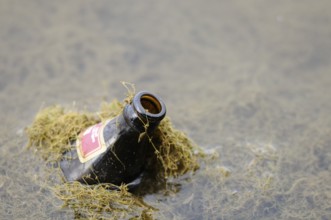 Black bottle with label floats in moss-covered water, environmental pollution, Bavaria