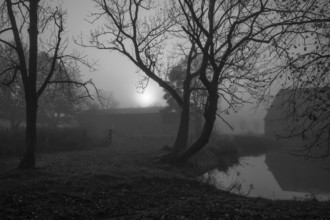 Morning sun on a foggy morning at Gut Othenstorf, Othenstorf near Rehna, Mecklenburg-Vorpommern,