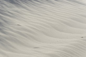 Sand drifts, wave structures in light-coloured sand, background image, North Sea, Juist, East