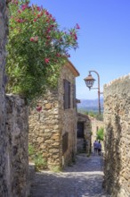 Narrow alley in the medieval town of Castelnou, Département Pyrénées-Oriental, France, Europe