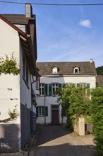 Residential area, residential houses, bushes, Noble vine (Vitis vinifera), blue sky with fair