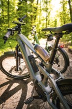 Two e-bikes on a forest path, illuminated by sunbeams in the background, e-bike, forest bike, Calw,