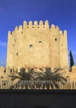 Torre de la Calahorra medieval tower, Cordoba, Spain, Europe