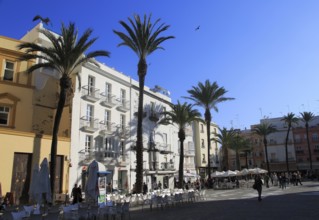 Cathedral square with restaurants and palm trees, Cadiz, Spain, Europe