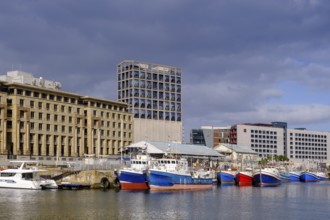 MOCAA Museum in the dockyard and harbour district, Victoria & Alfred Waterfront, Cape Town, Western