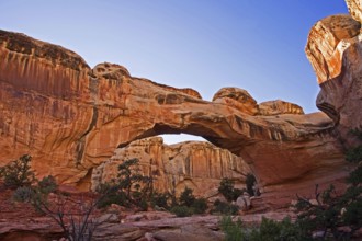 Capitol Reef NP, Utah, USA, Capitol Reef NP, Utah, USA, North America