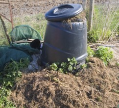 Compost bin decomposing plants in allotment garden, UK