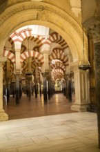 Moorish arches in the former mosque now cathedral, Cordoba, Spain, Europe