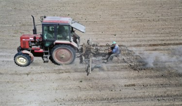 Tractor dragging a plume of dust behind it while working a potato field, Münchenberge, 20/05/2020