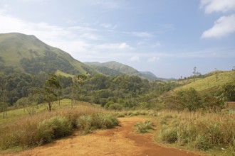 Landscape and red earth in Periyar Wildlife Sanctuary or Periyar National Park, Idukki district,