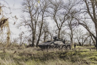 Armoured Boxer transport vehicle of the German Armed Forces stands in a forest on the Elbe as part