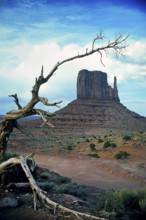 Monument Valley, Navajo Land, Colorado Plateau, under Navajo administration, Utah, USA, North