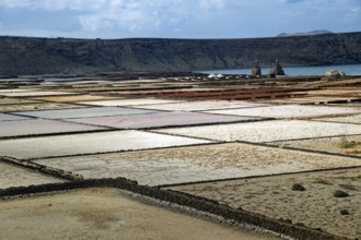 Sea salt extraction, Janubio salt flats, Salinas de Janubio, Lanzarote, Canary Islands, Canary