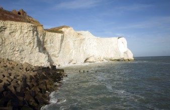 Chalk cliffs at Seaford Head, East Sussex, England, United Kingdom, Europe