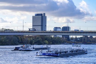 The Konrad Adenauer Bridge, South Bridge, A562 motorway bridge and 2 light rail lines, tramway, UN