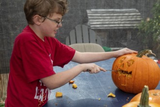 Denver, Colorado, A ten-year-old boy carves a Halloween pumpkin