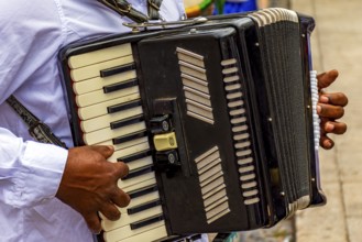 Hands of accordionist playing his instrument during a religious festival in the streets of Belo