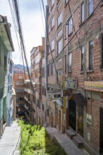 The Witches Market, La Paz, Bolivia, South America