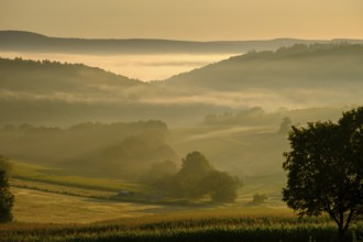 Morning fog over the Werra valley, Weißenborn near Eschwege, Werra-Meißner district, Werra valley,