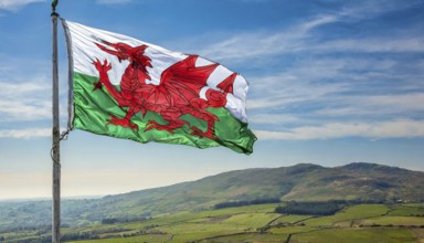 The flag of Wales, Great Britain, flutters in the wind