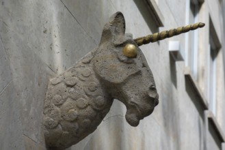 Head of a unicorn above the entrance to the Unicorn Pharmacy, Bamberg, Upper Franconia, Bavaria,