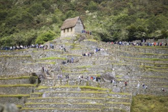 Inca ruins of Machu Picchu, Cusco region, Peru, South America