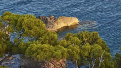 Tree-covered rock jutting into the sea in the evening light, Koroni, Byzantine fortress, nunnery,