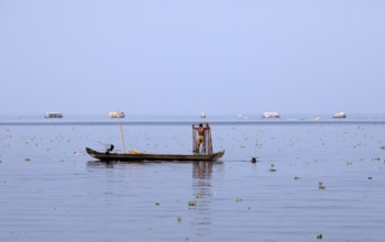 Fisherman on a small boat on the Vembanad Lake, canal system of the backwaters, Kerala, India, Asia