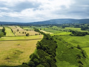 Farms and Fields over Yorkshire Dales National Park from a dron, North Yorkshire, England, United