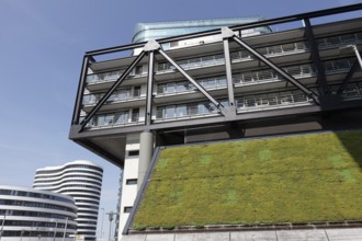 Green façade on the PEC office building, cloud bow, planting to improve the climate, Düsseldorf