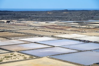 Sea salt extraction, Janubio salt works, Salinas de Janubio, Lanzarote, Canary Islands, Spain,