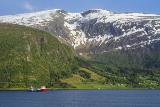 Mountains and Fjord over Norwegian Village, Olden, Innvikfjorden, Norway, Europe