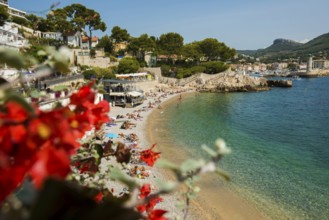 Beach, Cassis, Bouches-du-Rhone, Provence-Alpes-Côte d'Azur, South of France, France, Europe