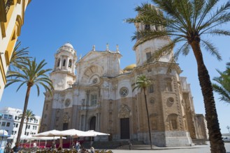 Impressive cathedral with palm trees and café terraces under a clear blue sky, Catedral de Santa