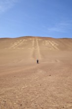 Geoglyph El Candelabro or candelabra of Paracas, Paracas, Reserva Nacional de Paracas, Ica region,