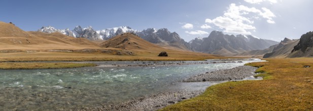 Mountain landscape with yellow meadows, Kol Suu River and mountain peaks with glaciers, Keltan