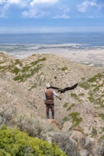 Traditional Kyrgyz eagle hunter hunting in the mountains in a dry landscape, near Kysyl-Suu, Issyk