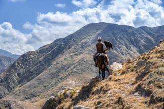 Traditional Kyrgyz eagle hunter in the mountains hunting on horseback, near Kysyl-Suu, Kyrgyzstan,