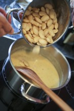 Swabian cuisine, preparation of broad beans with yeast dumplings, broad beans, horse beans, fava