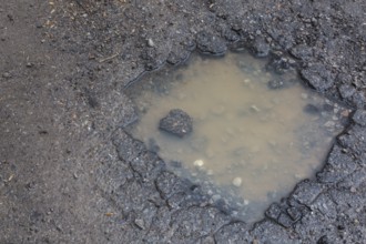 Pothole filled with rainwater on wet black asphalt road surface in spring, Montreal, Quebec,